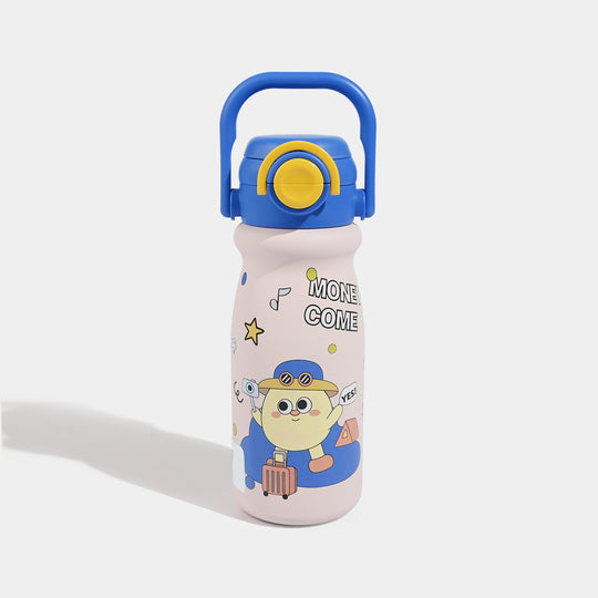 Stainless Steel Water Bottle | 650Ml
