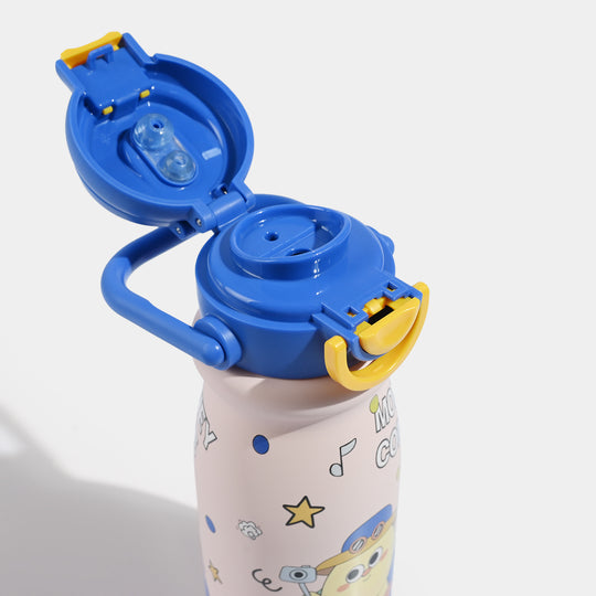 Stainless Steel Water Bottle | 650Ml