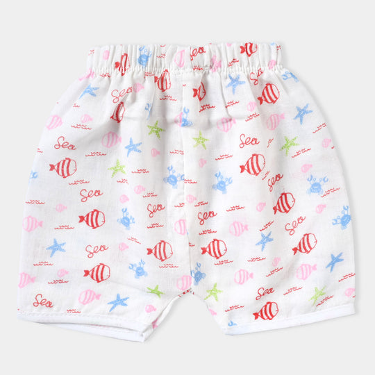 Pack Of 3 Infant Summer Panty | 3-6Months