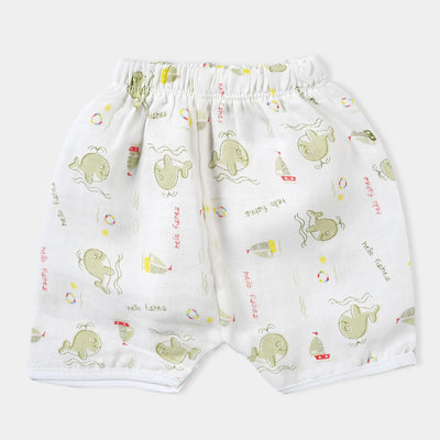 Pack Of 3 Infant Summer Panty | 3-6Months