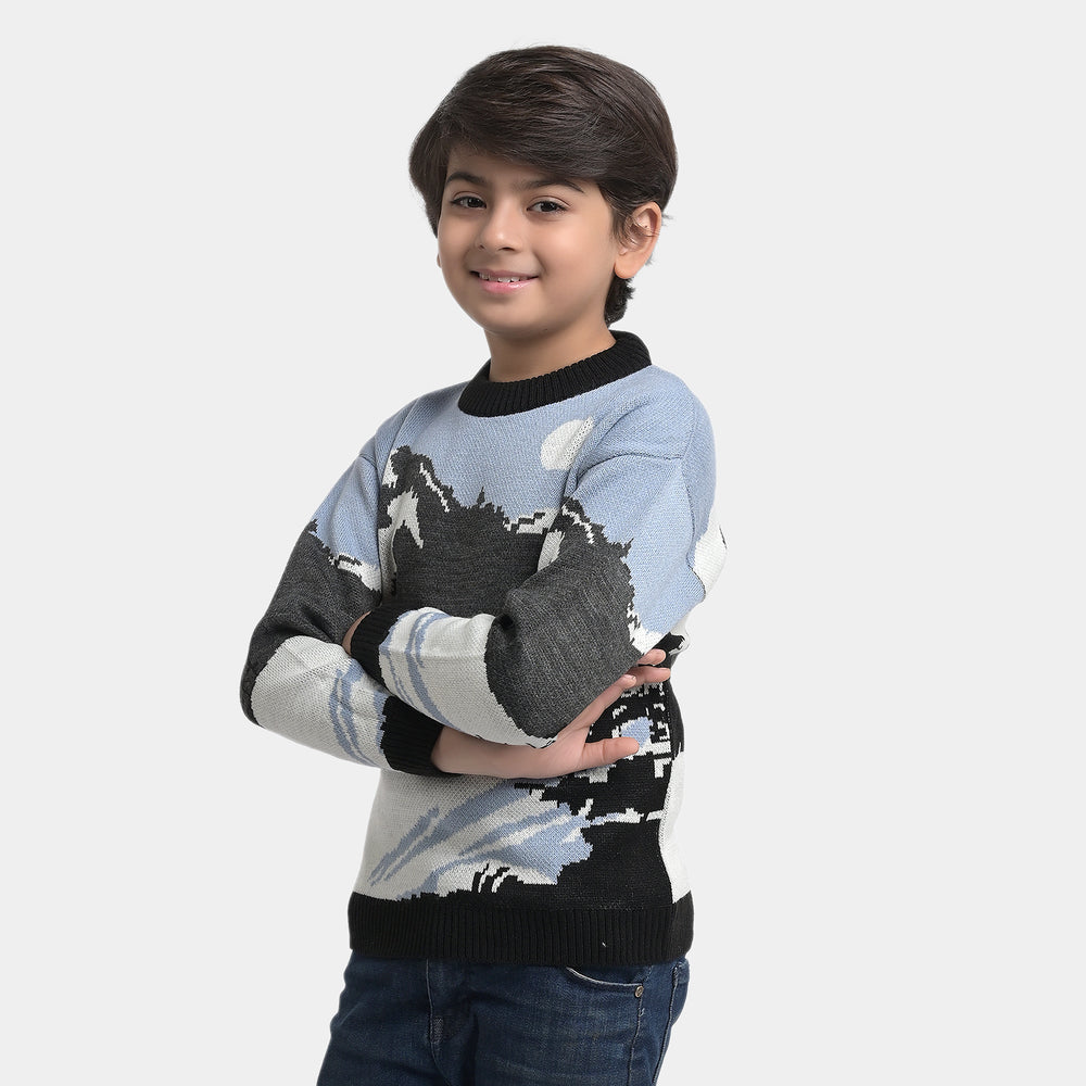 Boys Sweater - Multi