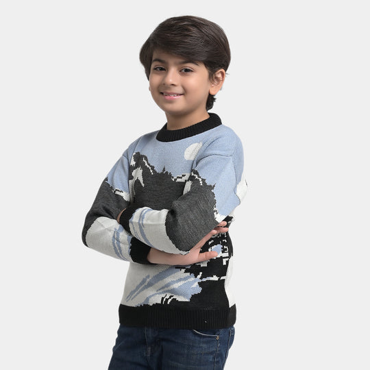 Boys Sweater - Multi