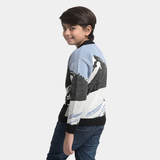 Boys Sweater - Multi