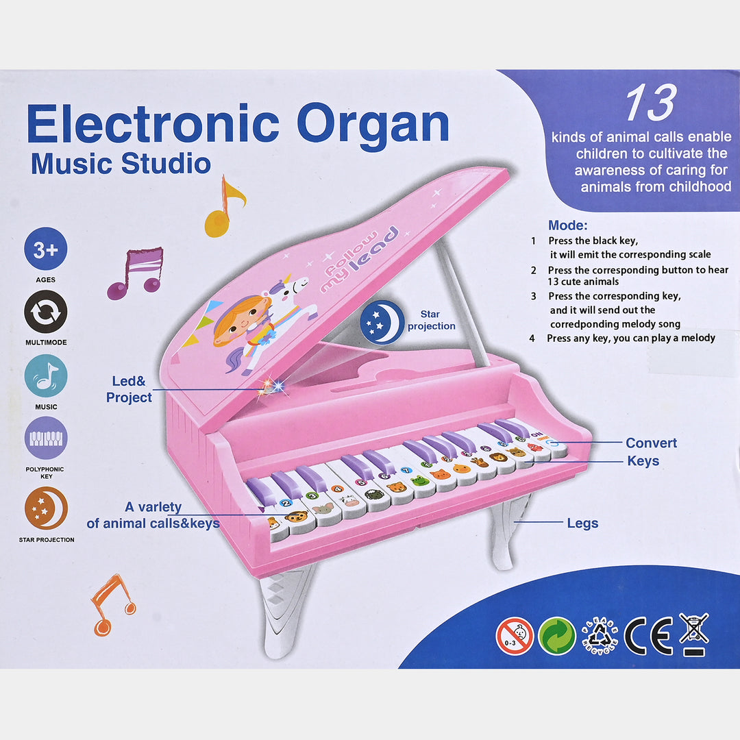 Electronic Organ Music Studio