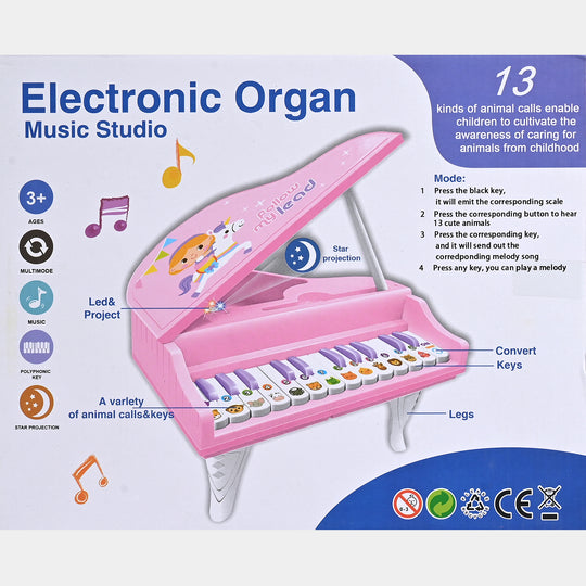 Electronic Organ Music Studio