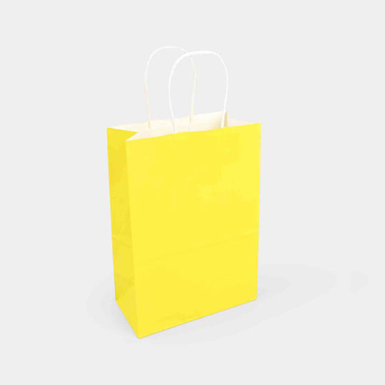 Gift Paper Bag | Large