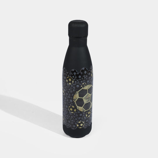 Stainless Steel Water Bottle for Kids