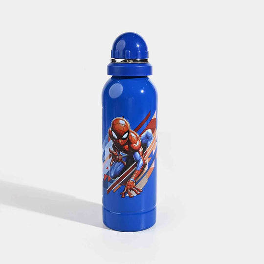 WATER BOTTLE STAINLESS STEEL | 800ML