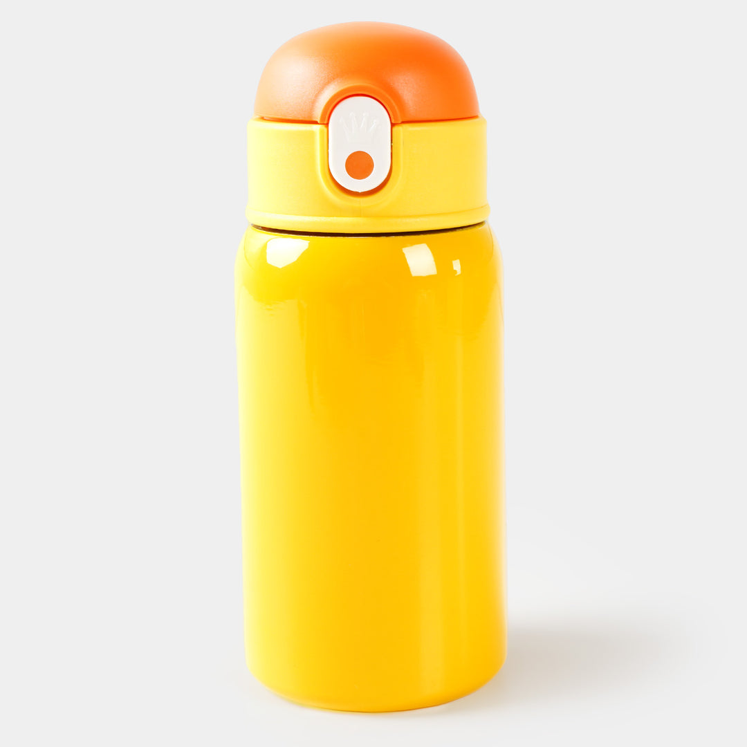 Stainless Steel Water Bottle | 550ml