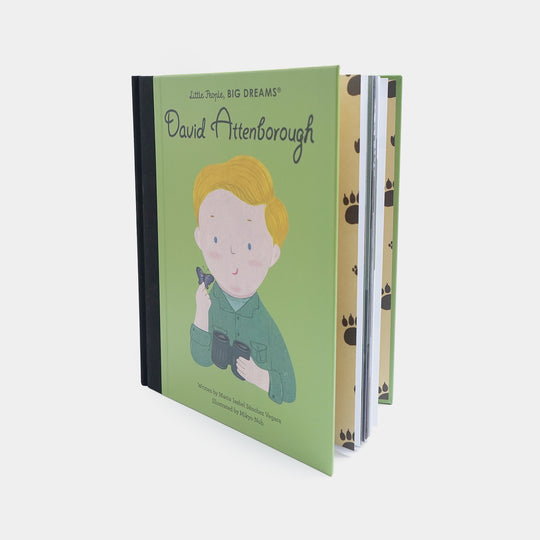 Big Dream Earth Hero Story Book