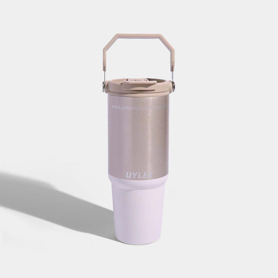 Stainless Steel Tumbler | 900Ml