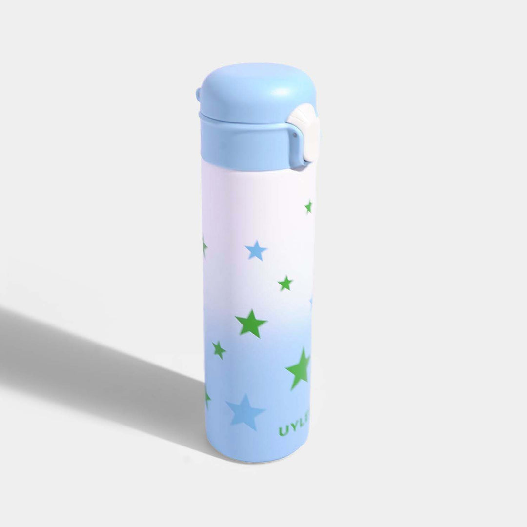 Stainless Steel Water Bottle | 500Ml