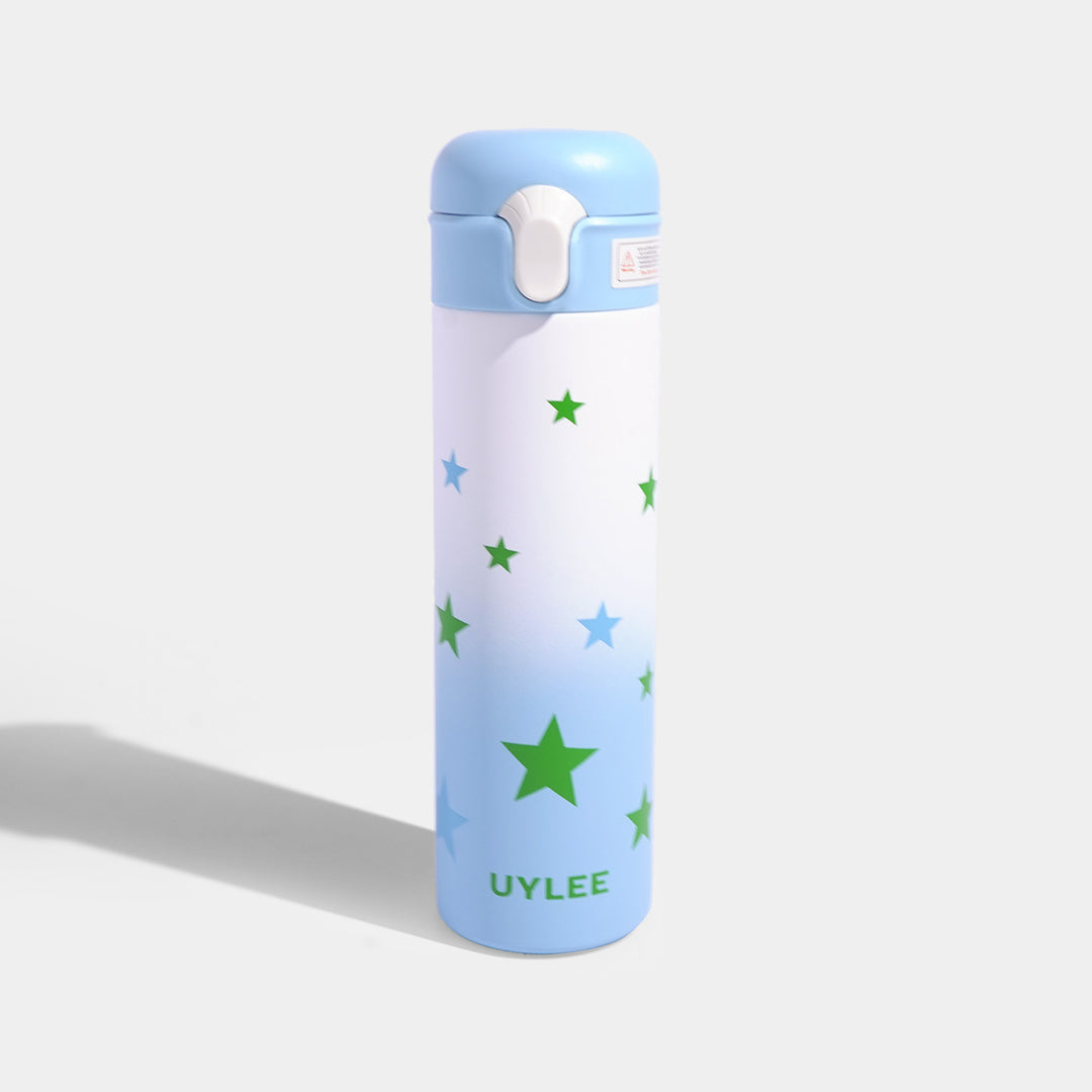 Stainless Steel Water Bottle | 500Ml
