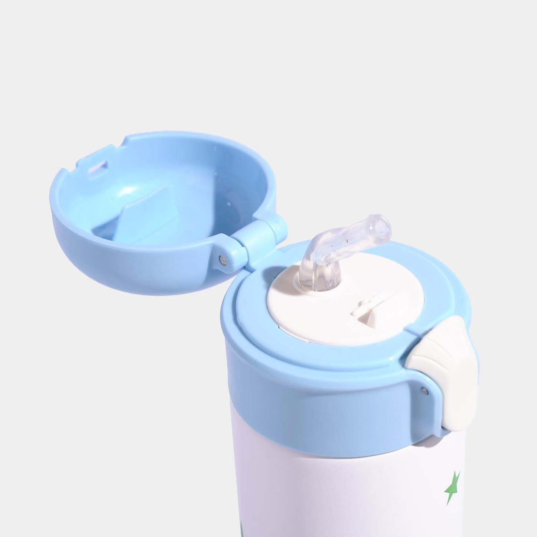Stainless Steel Water Bottle | 500Ml