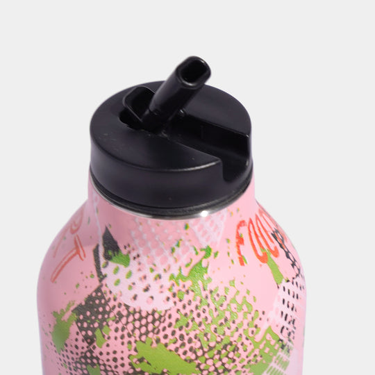 Stainless Steel Water Bottle | 700Ml