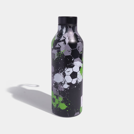 Stainless Steel Water Bottle | 700Ml