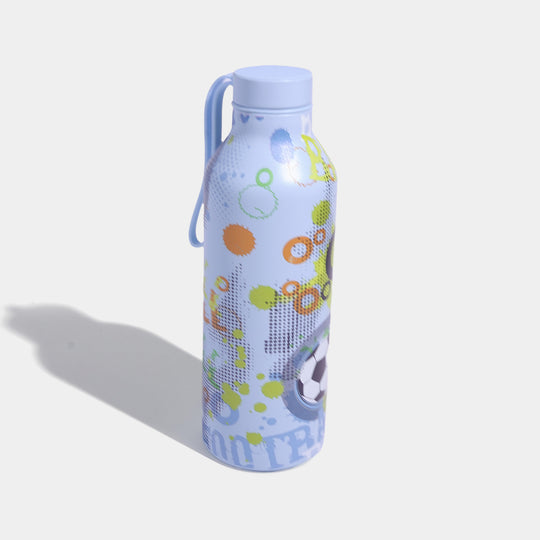 Stainless Steel Water Bottle | 700Ml