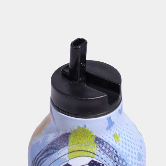 Stainless Steel Water Bottle | 700Ml
