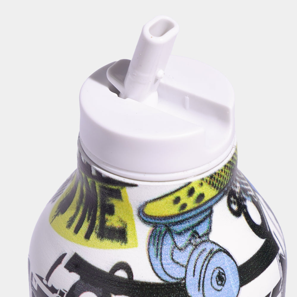 Stainless Steel Water Bottle | 700Ml