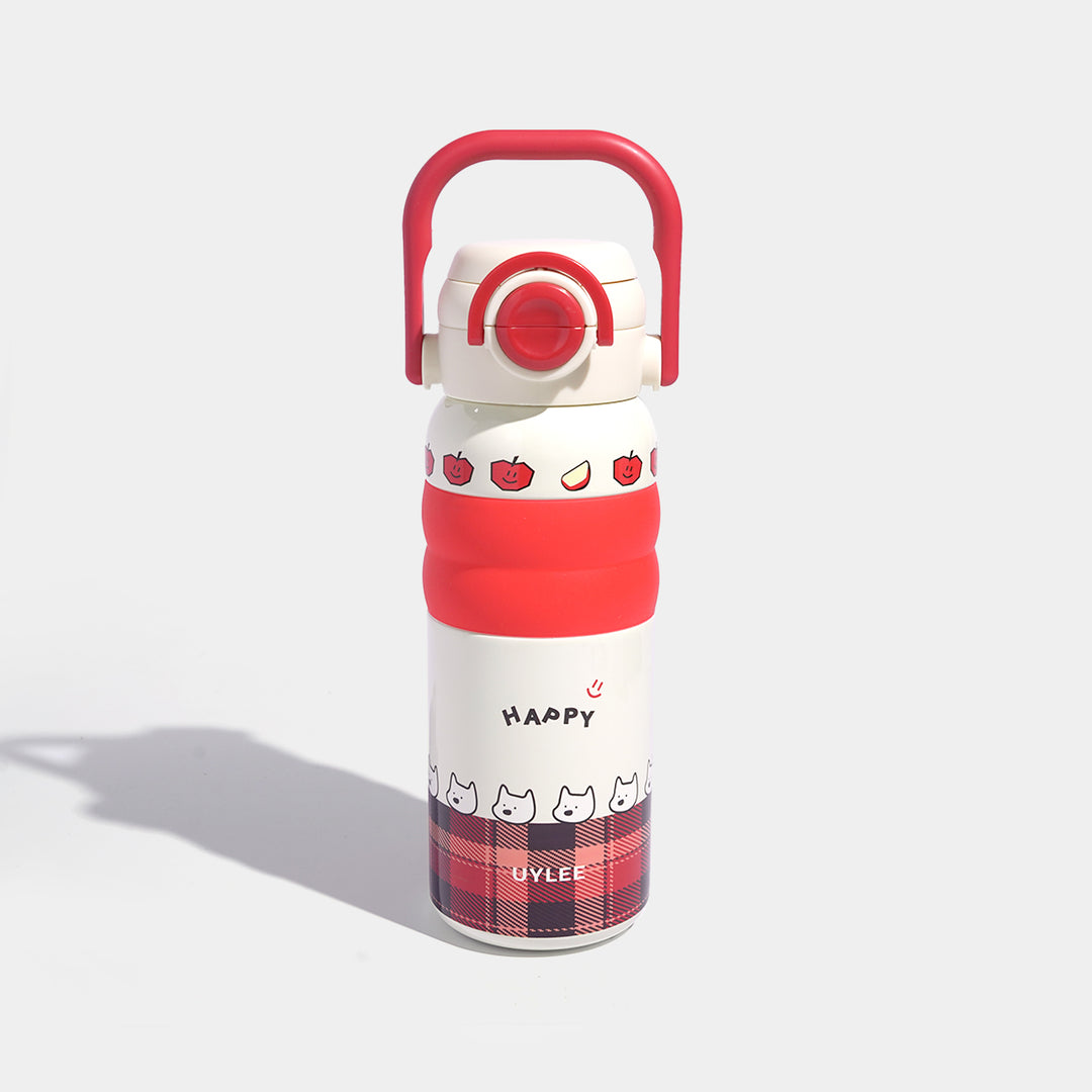 Stainless Steel Water Bottle | 600Ml