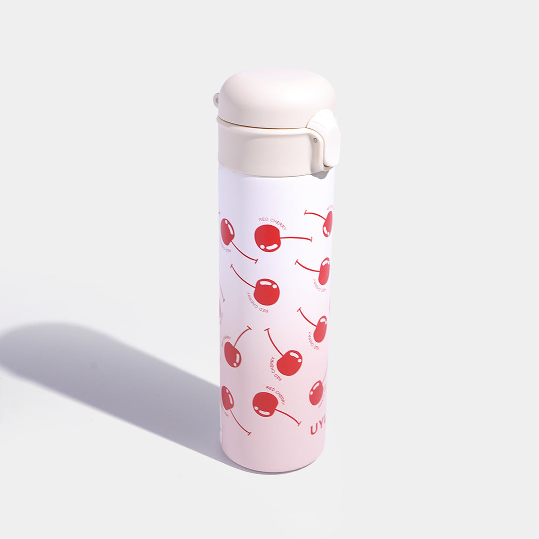 Stainless Steel Water Bottle | 500Ml