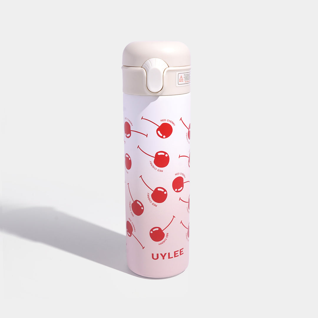 Stainless Steel Water Bottle | 500Ml