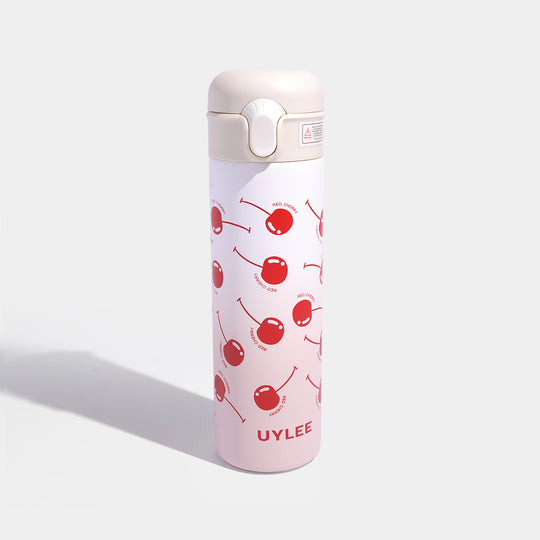 Stainless Steel Water Bottle | 500Ml