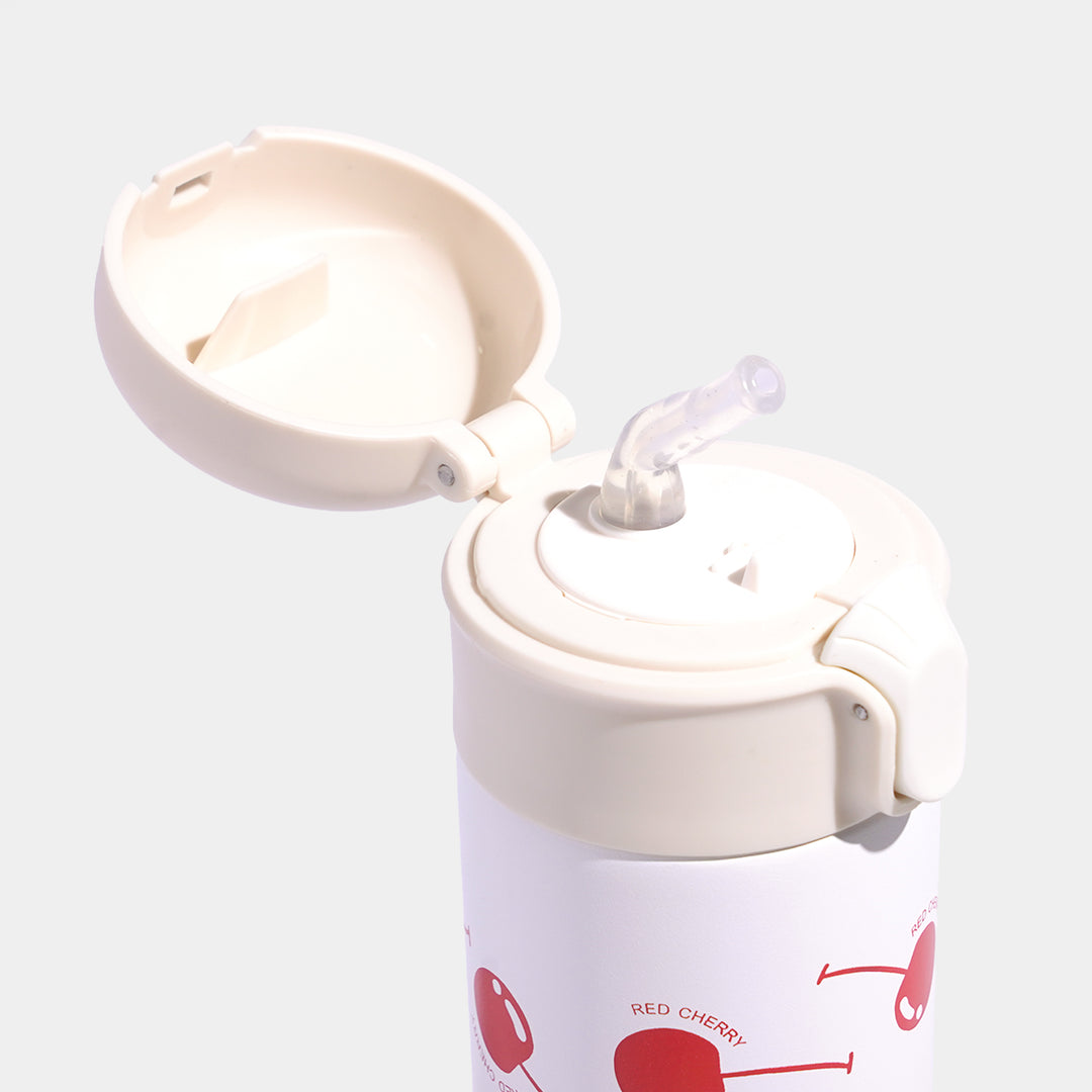 Stainless Steel Water Bottle | 500Ml