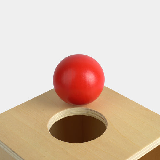 Educational Wooden Object Permanence Toy