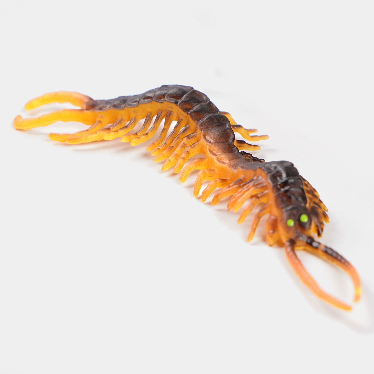 Insect Collection Educational Play Set Price in Pakistan | Bachaa Party