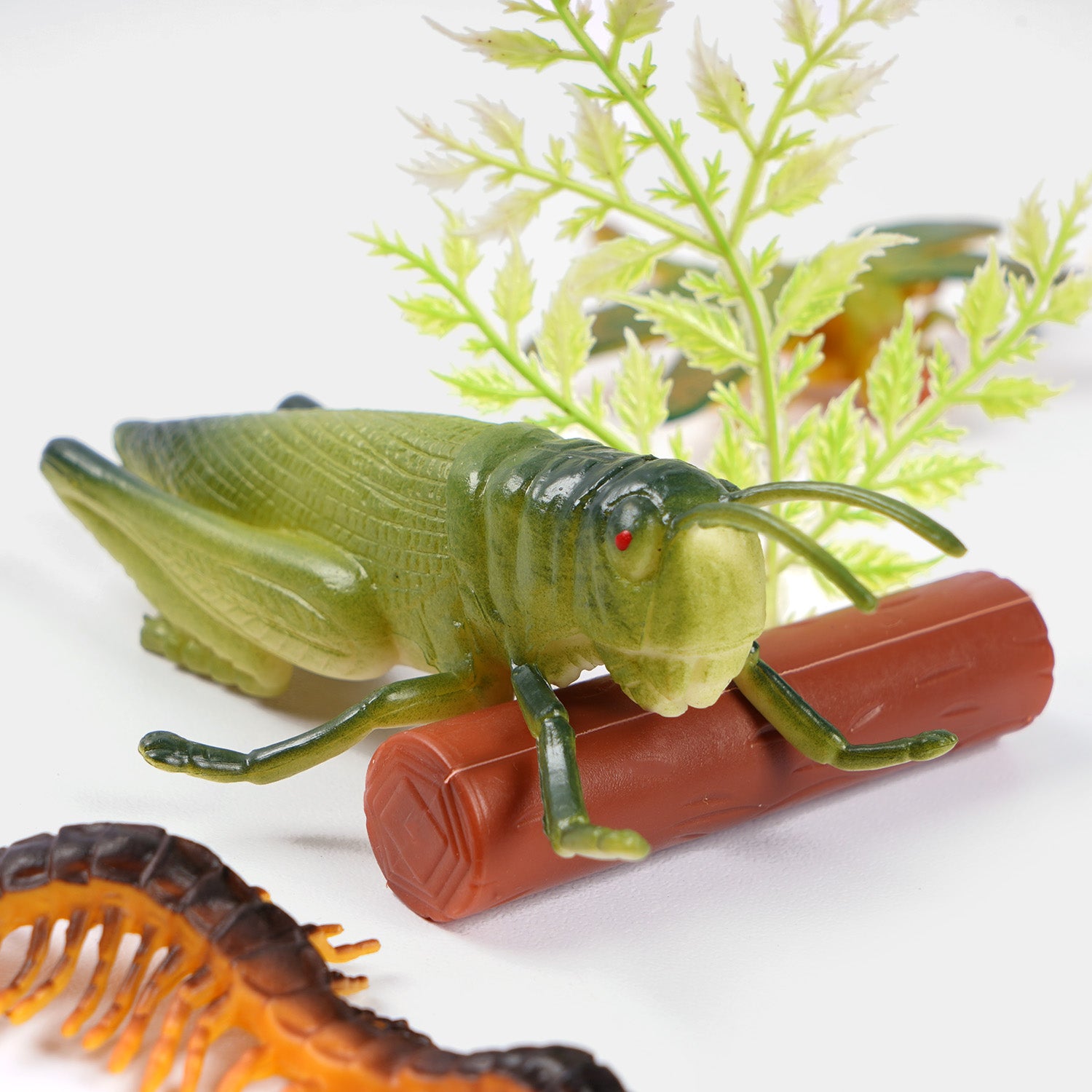 Insect Collection Educational Play Set Price in Pakistan | Bachaa Party