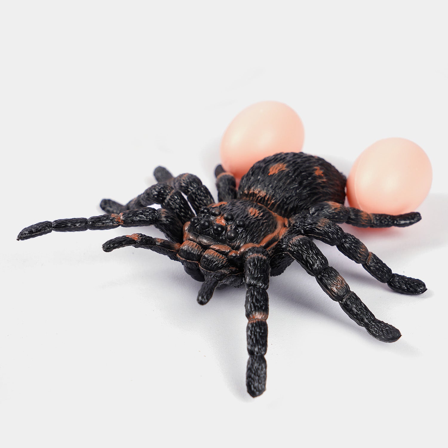 Insect Collection Educational Play Set Price in Pakistan | Bachaa Party