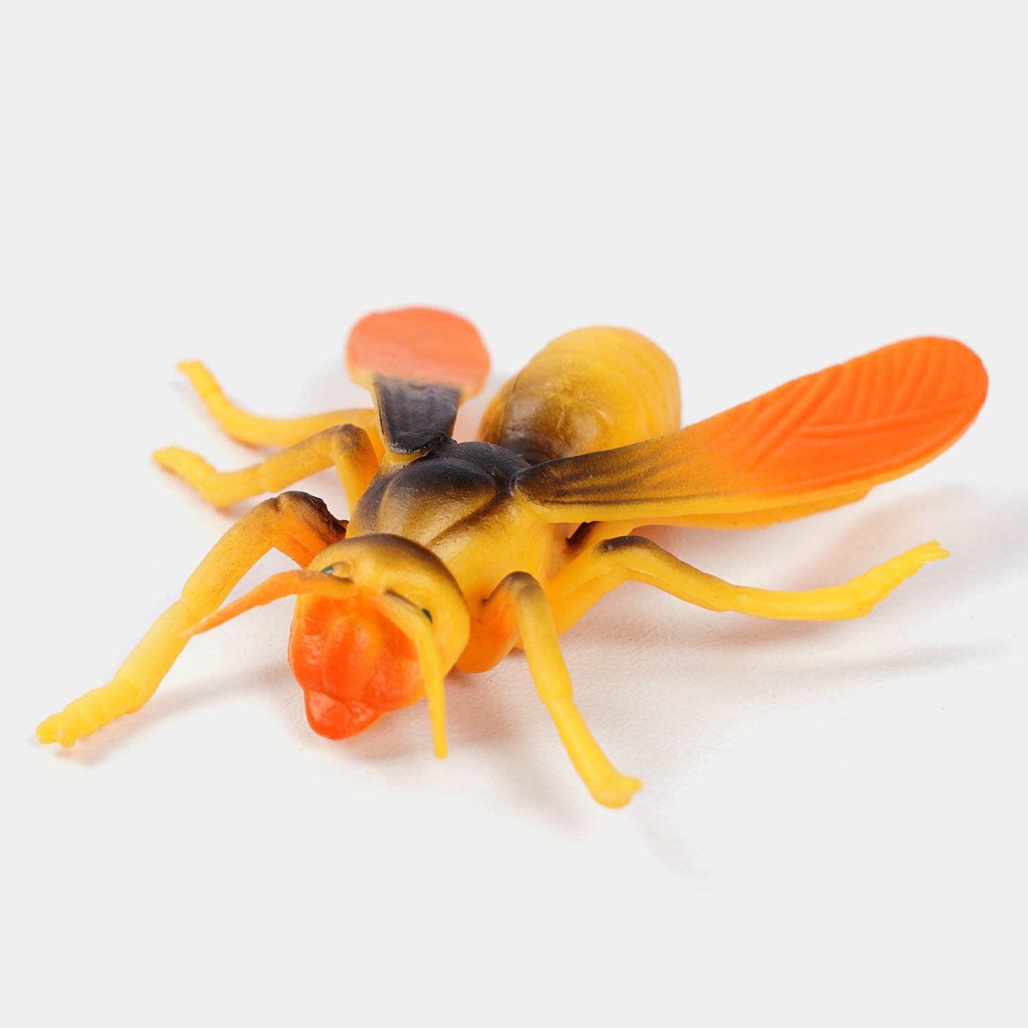 Insect Collection Educational Play Set Price in Pakistan | Bachaa Party