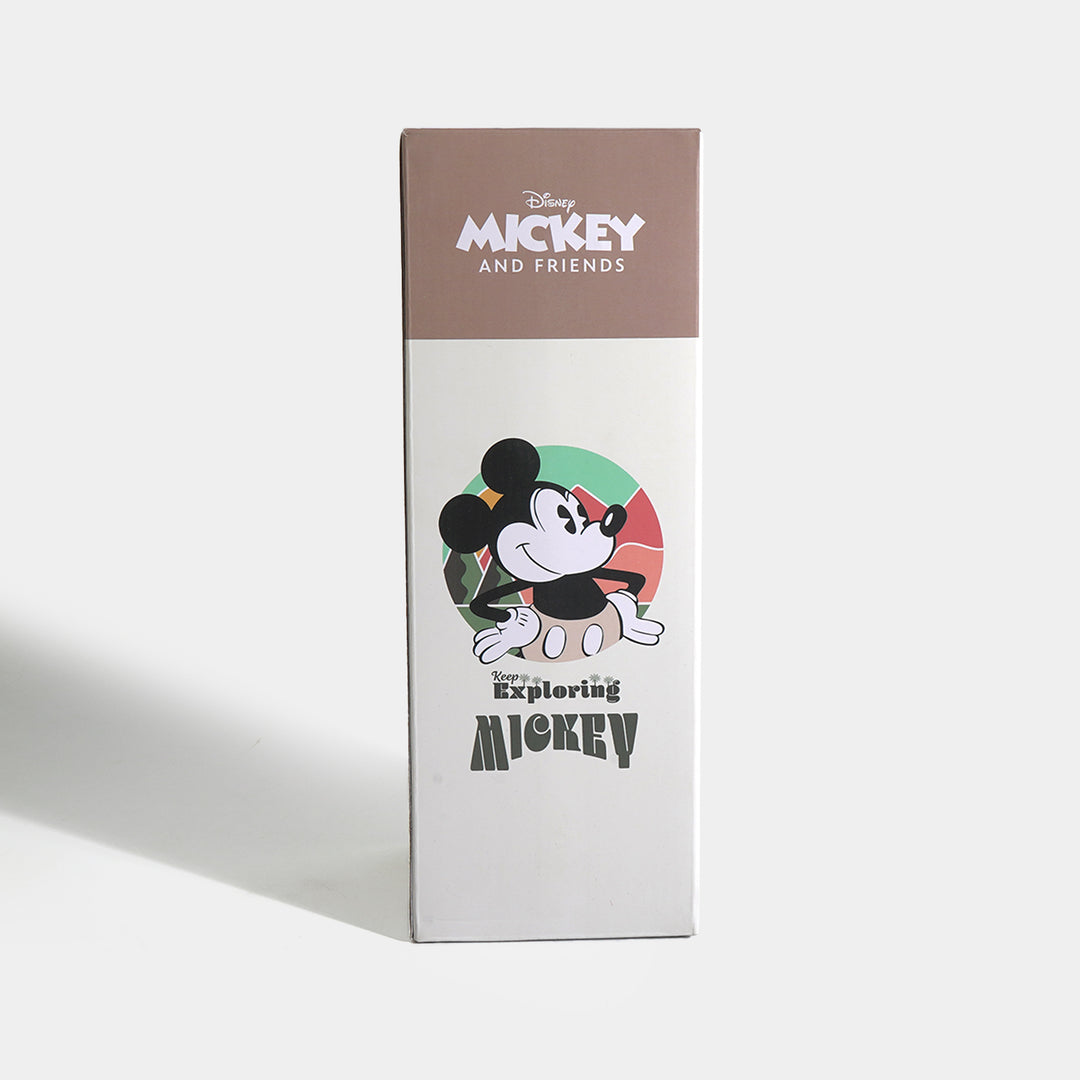 Stainless Steel Water Bottle for Kids