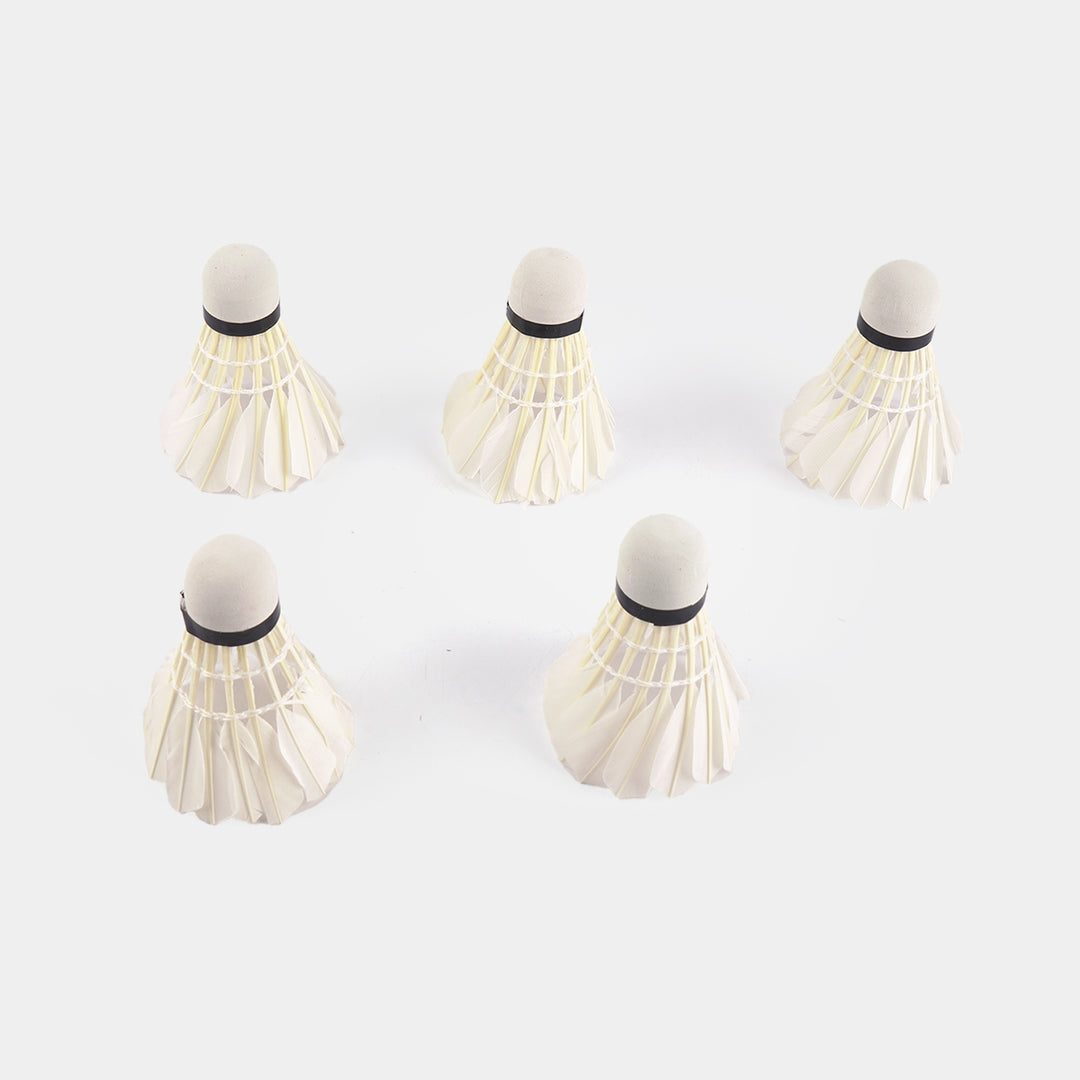 Training Badminton Shuttlecocks Tube (12 Pack)