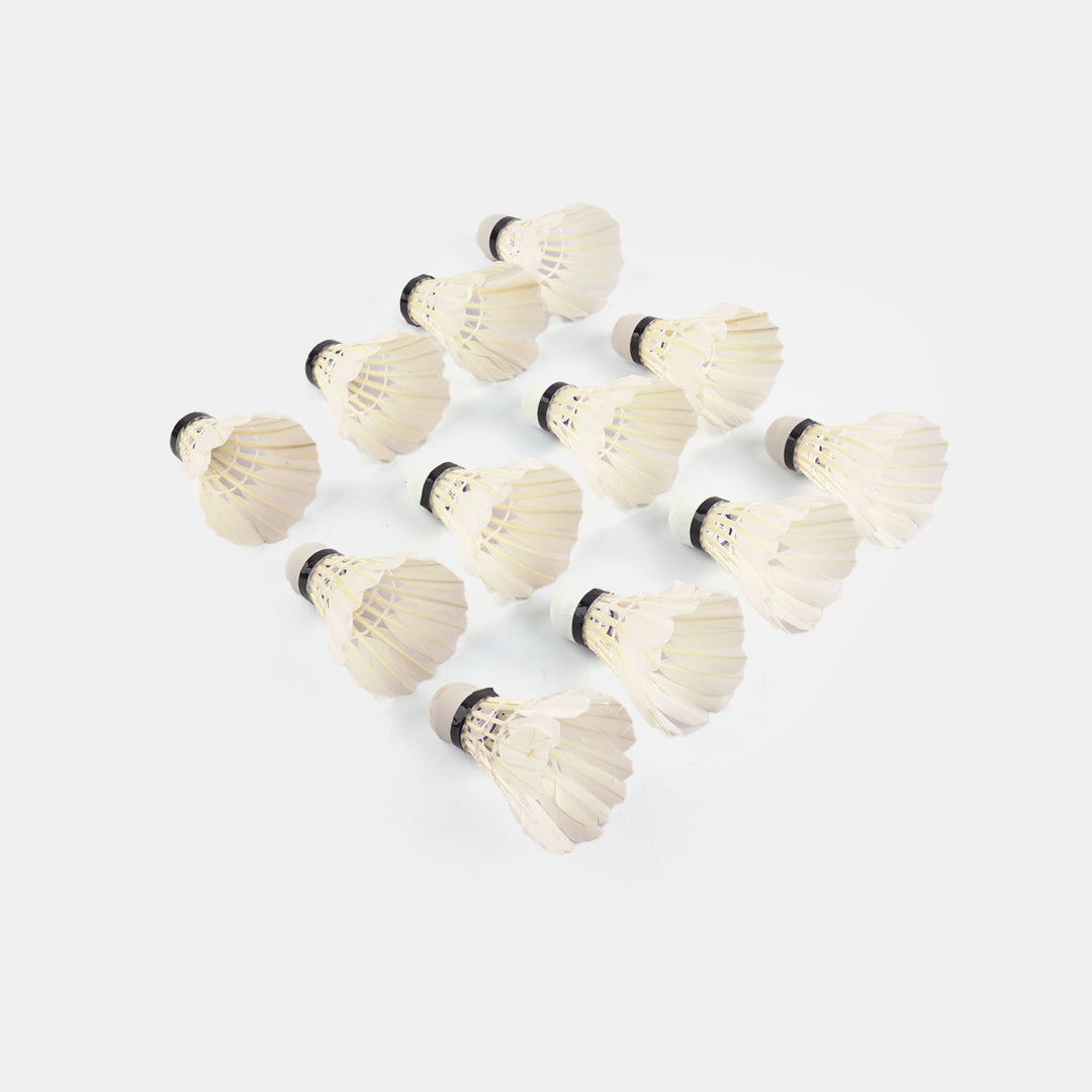 Training Badminton Shuttlecocks Tube (12 Pack)