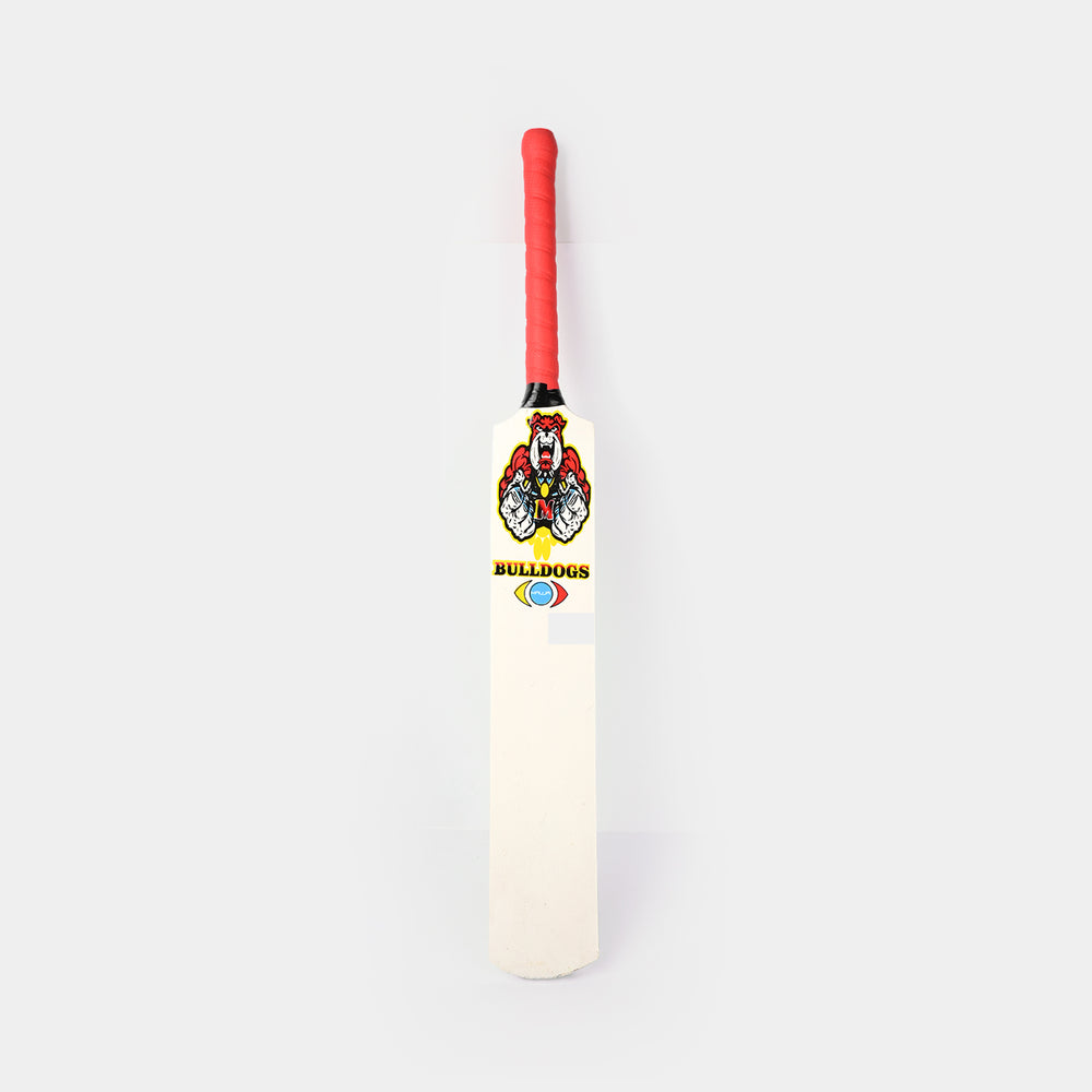 Cricket Bat Junior for Kids