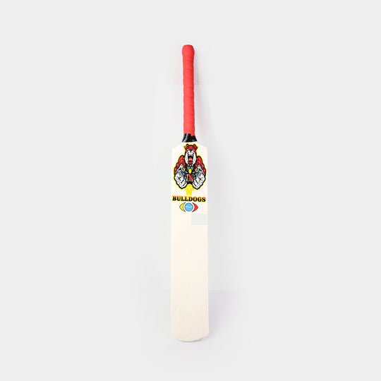 Cricket Bat Junior for Kids