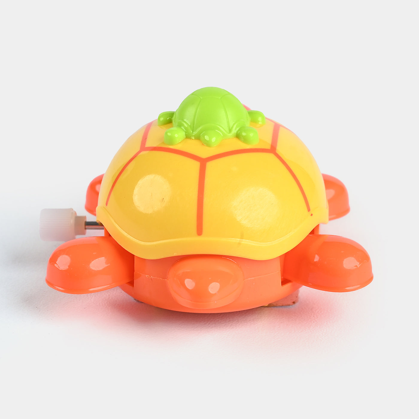 Turtle Dinky For Kids