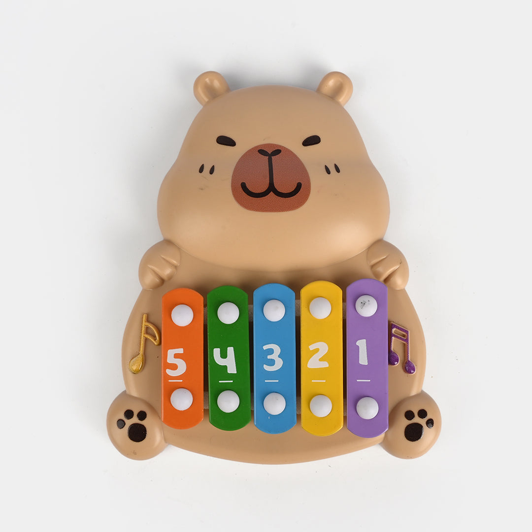 Musical Instrument Xylophone Toy