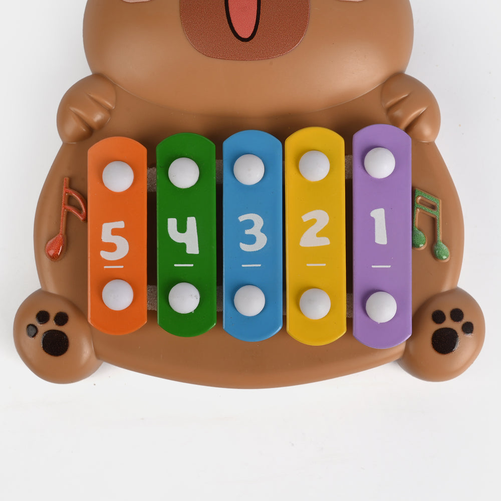 Musical Instrument Xylophone Toy