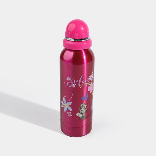 WATER BOTTLE STAINLESS STEEL | 500ml