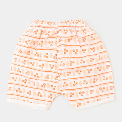 Baby Summer Panty Pack Of 3