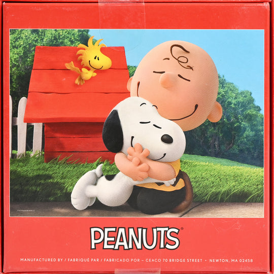 Character Puzzle