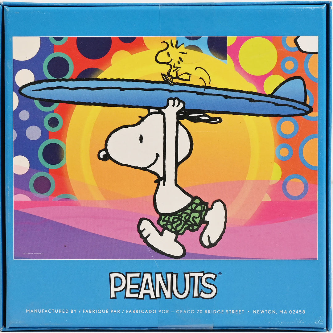 Jigsaw Puzzle Peanuts Blocks Set | 100Pcs