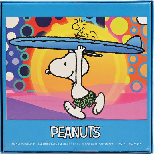 Jigsaw Puzzle Peanuts Blocks Set | 100Pcs