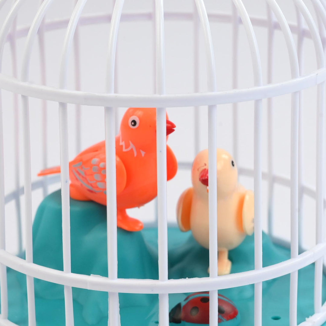 Electronic Recording Function Birdcage