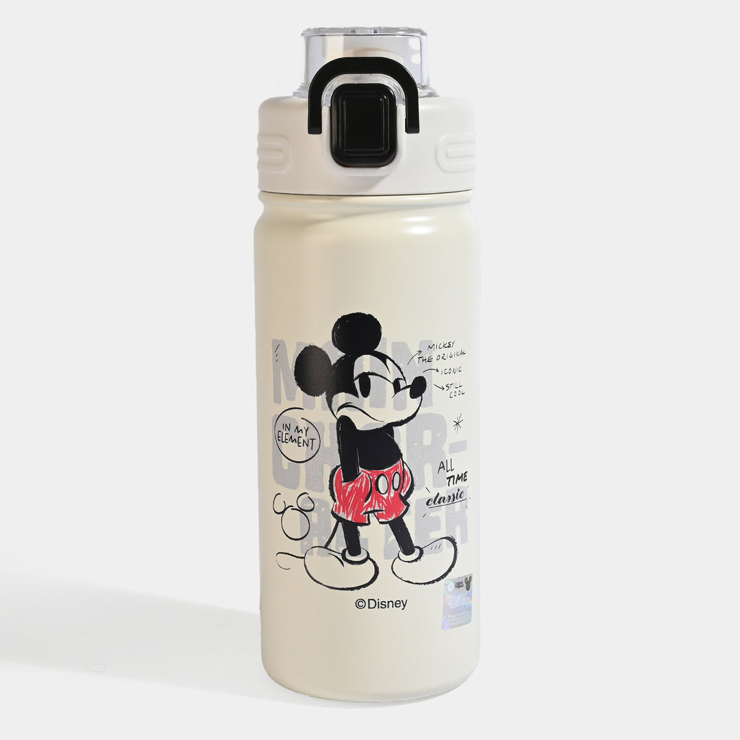 WATER BOTTLE STAINLESS STEEL | 500ml