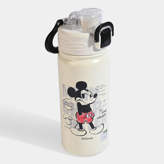 WATER BOTTLE STAINLESS STEEL | 500ml