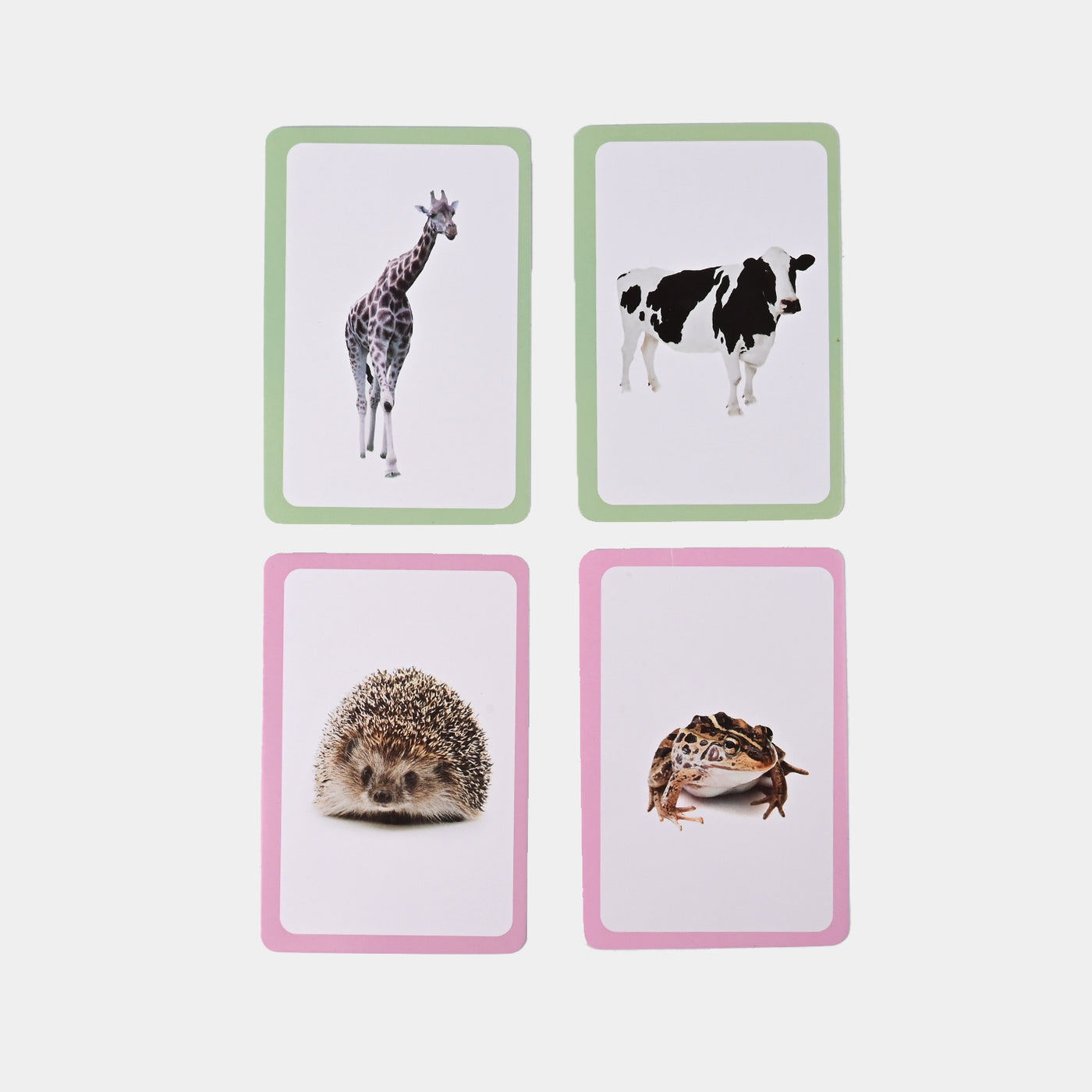 Animal Flash Card - 36Pcs